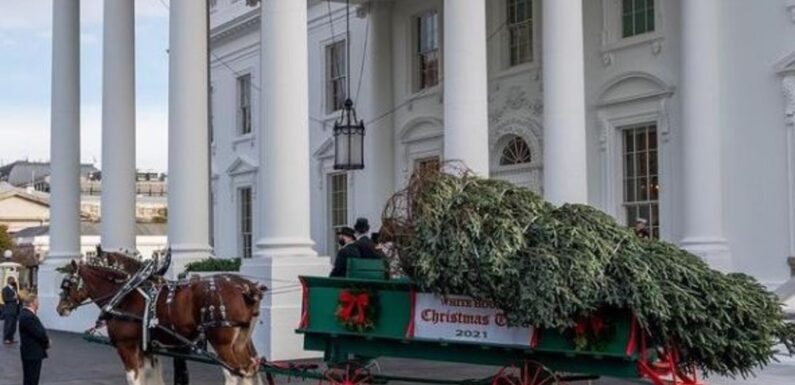 Перша леді США Джилл Байден офіційно відкрила різдвяний сезон у Білому дому (Відео)