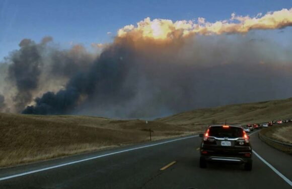 У штаті Колорадо почалася масова евакуація через лісові пожежі