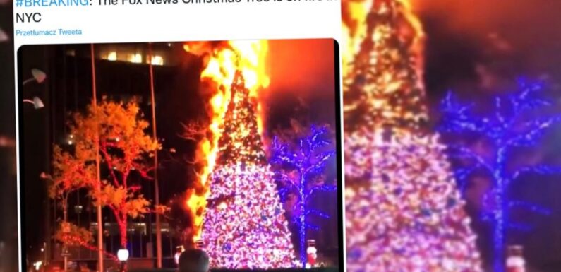 У Нью-Йорку підпалили 15-метрову ялинку поблизу Fox News