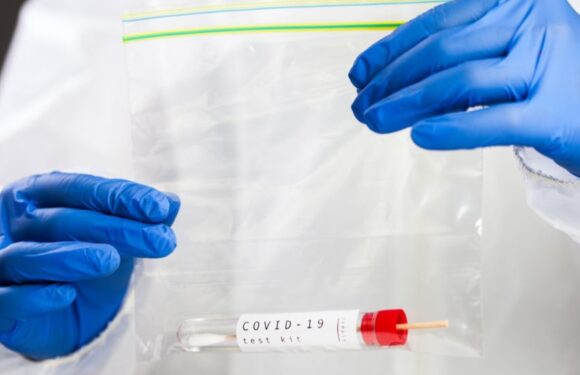 Розвідка США не знайшла доказів планового поширення коронавірусу з китайської лабораторії