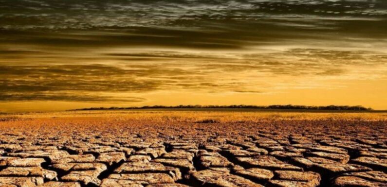 Південний захід США накрила аномальна засуха, такого не було останні 1200 років 