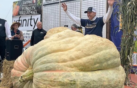 Чоловік з Міннесоти виростив гарбуз вагою більше тонни