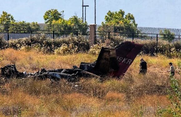 Поблизу Лос-Анджелеса впав корпоративний літак, шестеро людей загинули (+ФОТО)