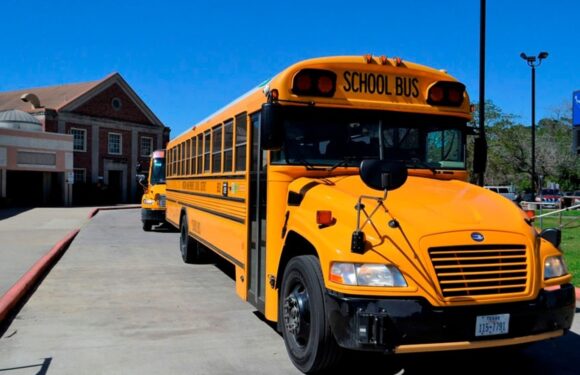11 дітей постраждали у ДТП зі шкільним автобусом в Айдахо