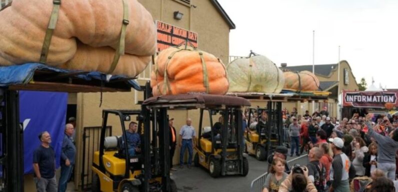 Американець виростив найважчий гарбуз у світі вагою у 1250 кг