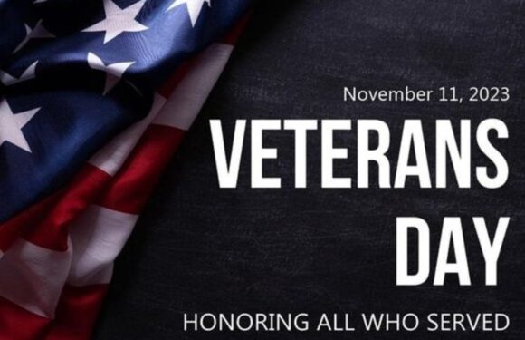 У листопаді Америка щорічно вшановує ветеранів