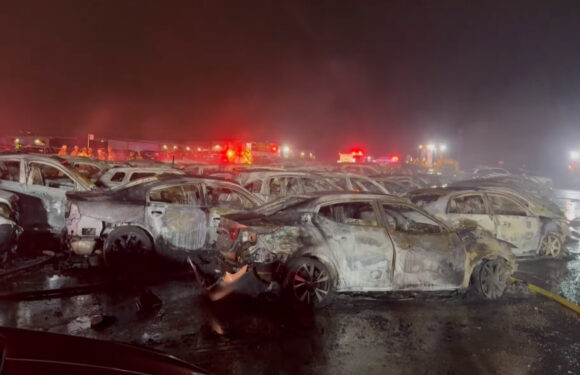 Пожежа напередодні Різдва пошкодила автомобілі на автоаукціоні в Техасі