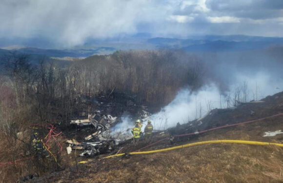 Крах приватного літака у сільській місцевості Вірджинії забрав життя 5 людей на борту